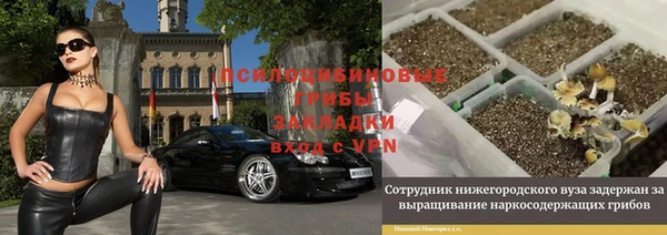 сатива Струнино