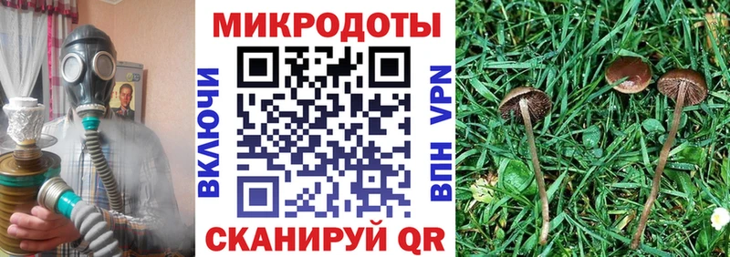 Купить закладки  Щучье  Галлюциногенные грибы ЛСД 